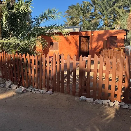 Cozy Camel Studios