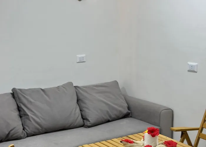 Cozy Camel *